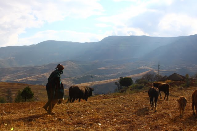 Herder in the mountains - click on the photo for more