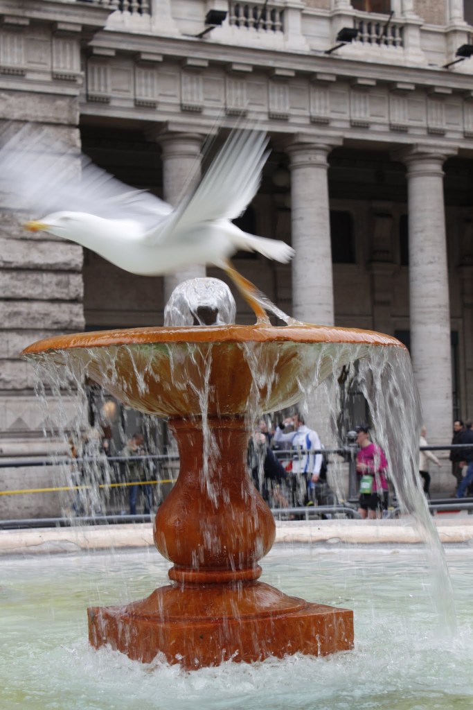 Rome - click on the photo for more